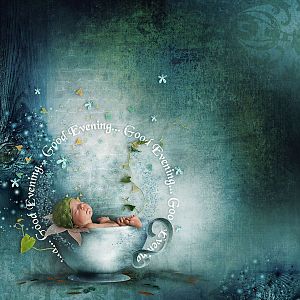 Good evening