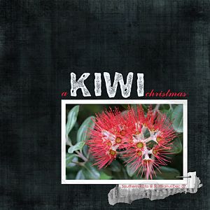 a Kiwi Christmas