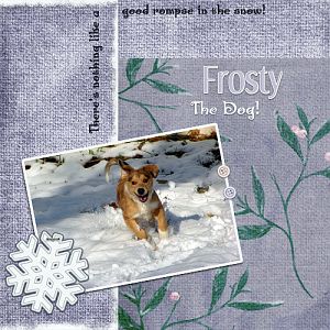 Frosty The Dog