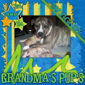 Grandma's Pups