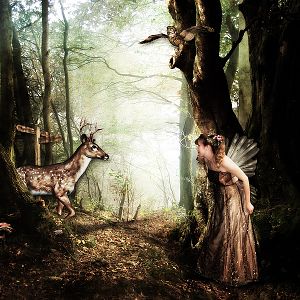 Finding Bambi
