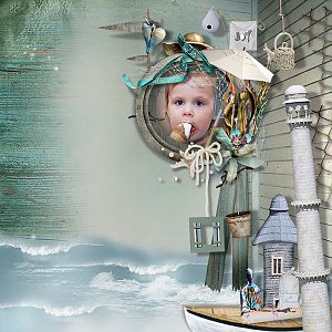 Sound of the Sea Shell