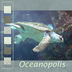 Oceanopolis-left
