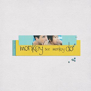 Monkey do