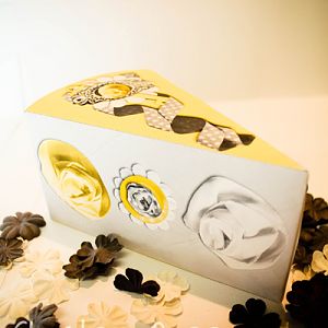 Cake Slice Box