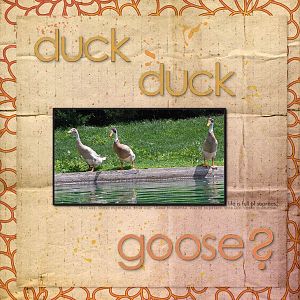 duck duck goose?