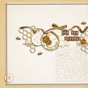 the bee project