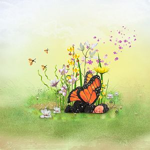 Butterfly dreams :)