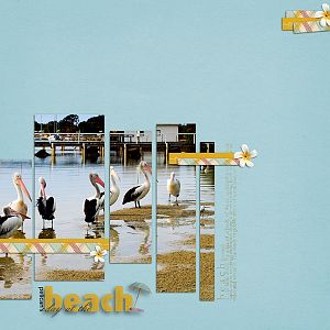 PELICAN'S DAY AT THE BEACH