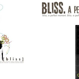 Bliss_DP