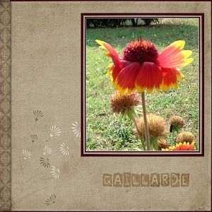 Gaillarde