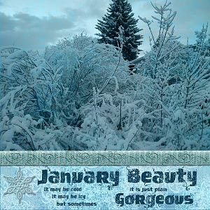 January Beauty (1)