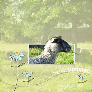 Hello Summer!