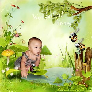 Wonderland-Honey