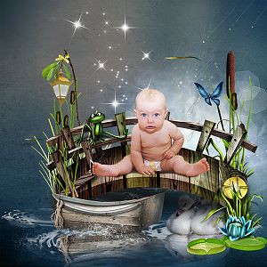 Night over the pond