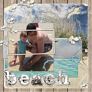 Beach - DigiDare #193