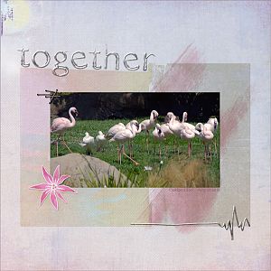 Flamingos - Together