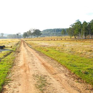 COUNTRY ROAD