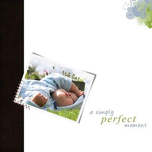 perfect moment