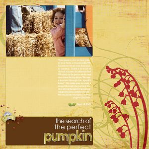 The Search of the Perfect Pumpkin