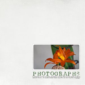 Web Inspiration Sept