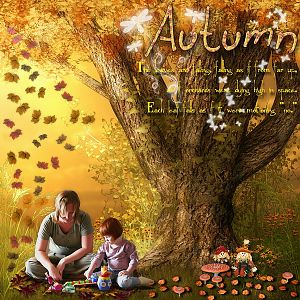 Autumn in forest