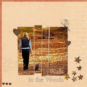 Walk in the Woods