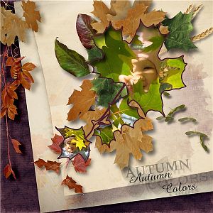 Shabby Autumn