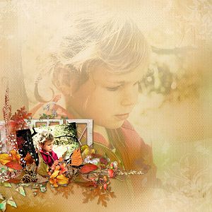 Autumn Treasures