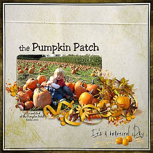 The Pumpkin Patch