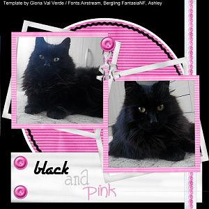 Black an Pink