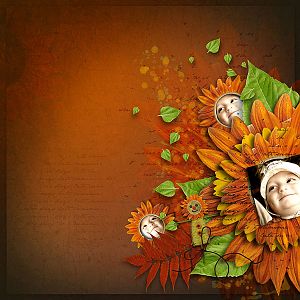 The Sunflower