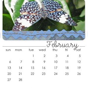 Feb CD Calendar