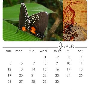 June 2011 CD Calendar