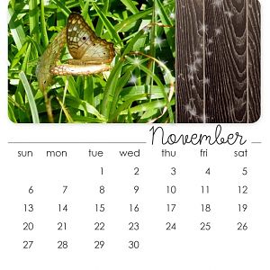 November 2011 CD Calendar