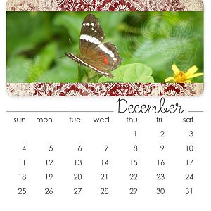 December 2011 CD Calendar