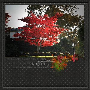 Oct Creative Technique Challenge - Japanese Maple