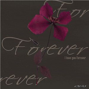 Forever_2