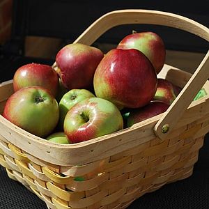 bushel_of_apples