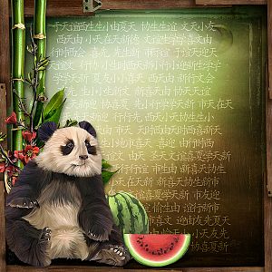 Save The Panda's