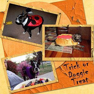 Trick or Doggie Treats