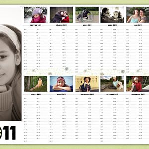 Calendar 2011