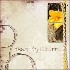 Flowers by Raianna