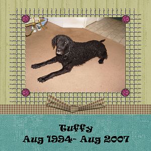Tuffy 1994-2007