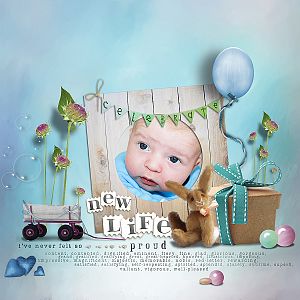 new life