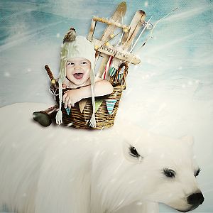 ...north pole...