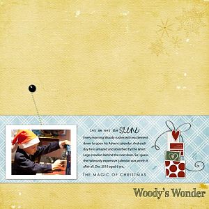 Woody's Wonder