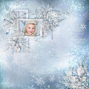Winter Beauty