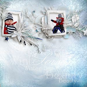 Winter Beauty