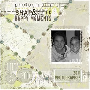 SCRAPBOOK COVER 2011